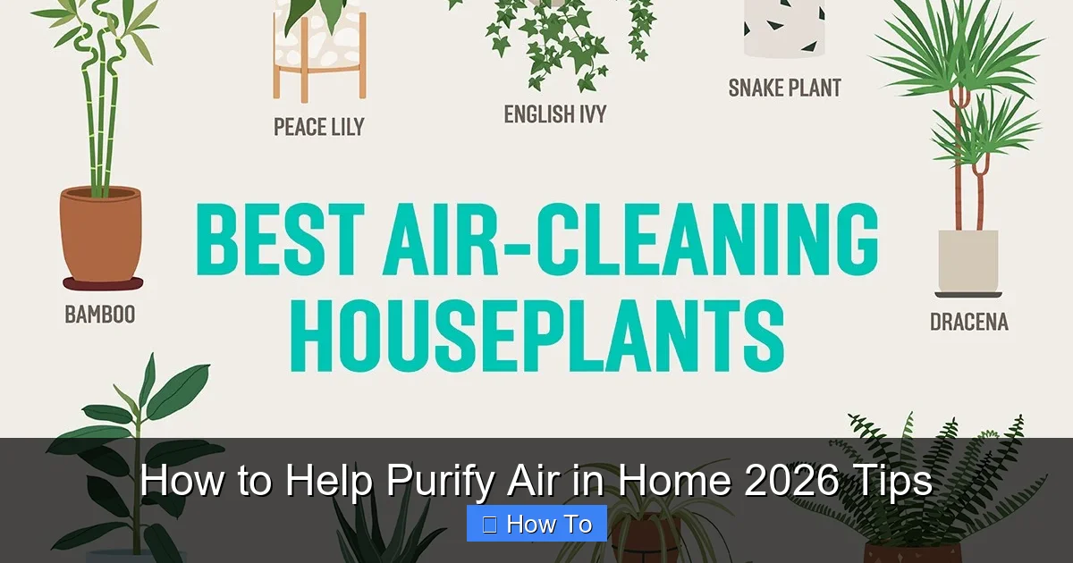 How to Help Purify Air in Home 2026 Tips
