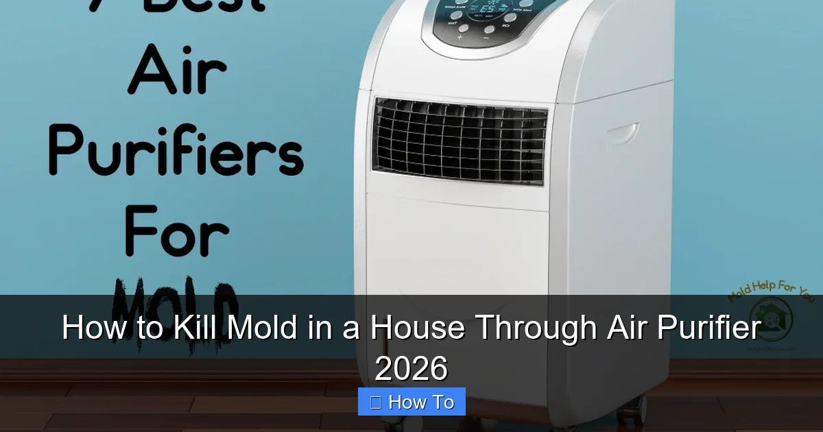 How to Kill Mold in a House Through Air Purifier 2026