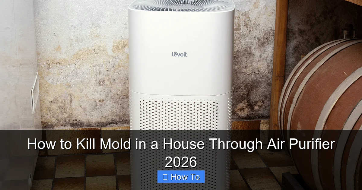 How to Kill Mold in a House Through Air Purifier 2026