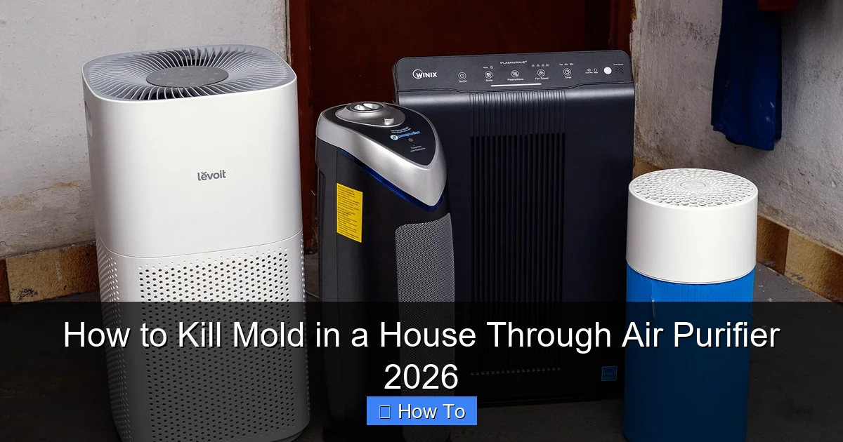 How to Kill Mold in a House Through Air Purifier 2026