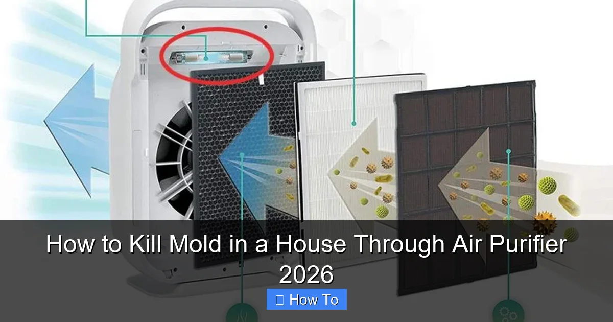 How to Kill Mold in a House Through Air Purifier 2026