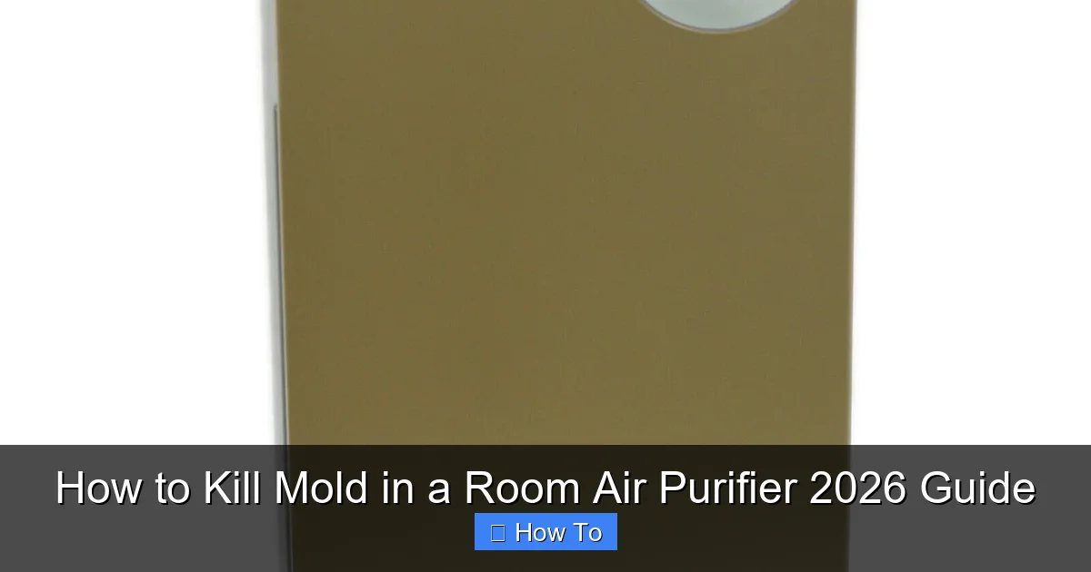 How to Kill Mold in a Room Air Purifier 2026 Guide