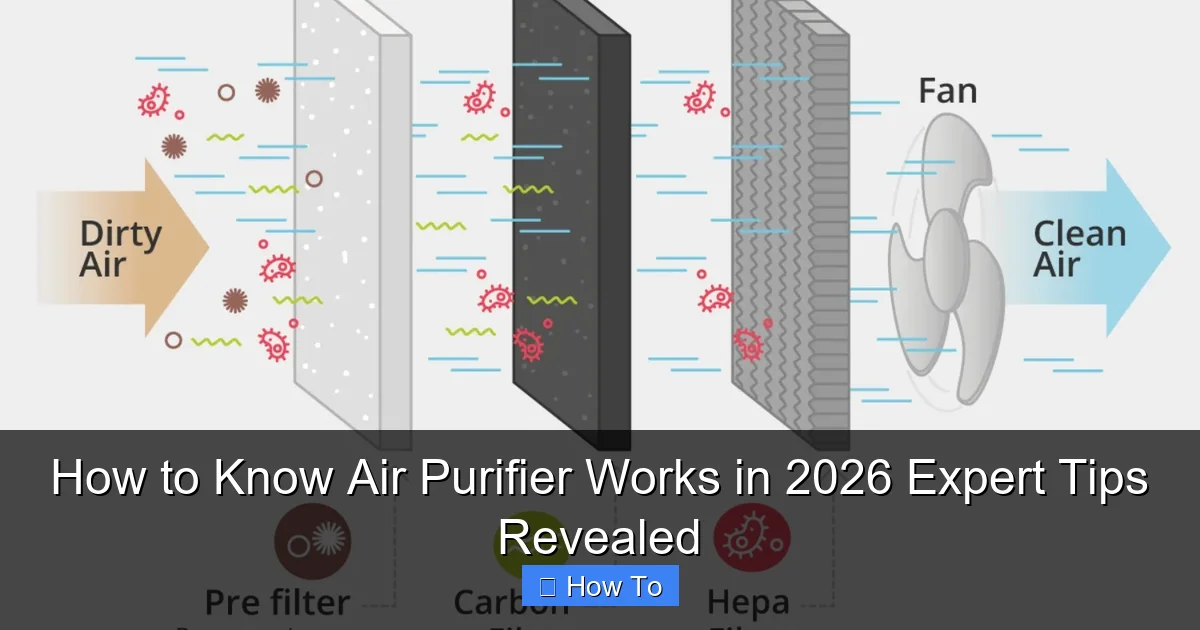 How to Know Air Purifier Works in 2026 Expert Tips Revealed