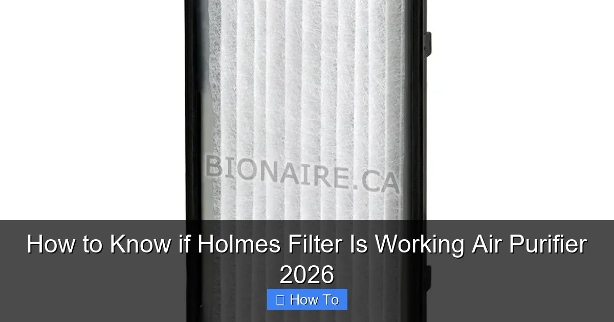 How to Know if Holmes Filter Is Working Air Purifier 2026