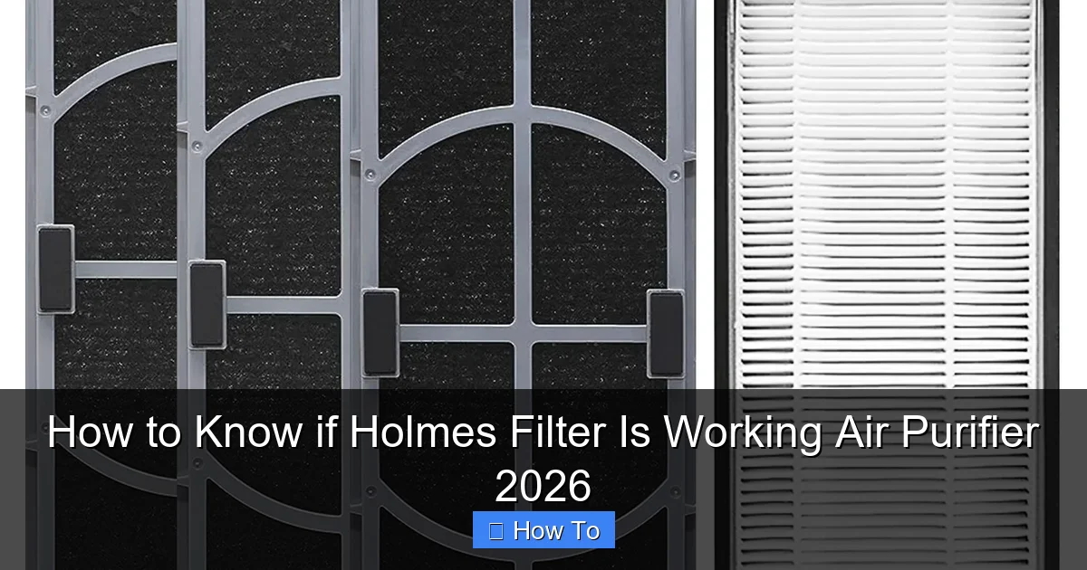 How to Know if Holmes Filter Is Working Air Purifier 2026