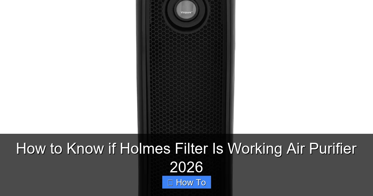 How to Know if Holmes Filter Is Working Air Purifier 2026