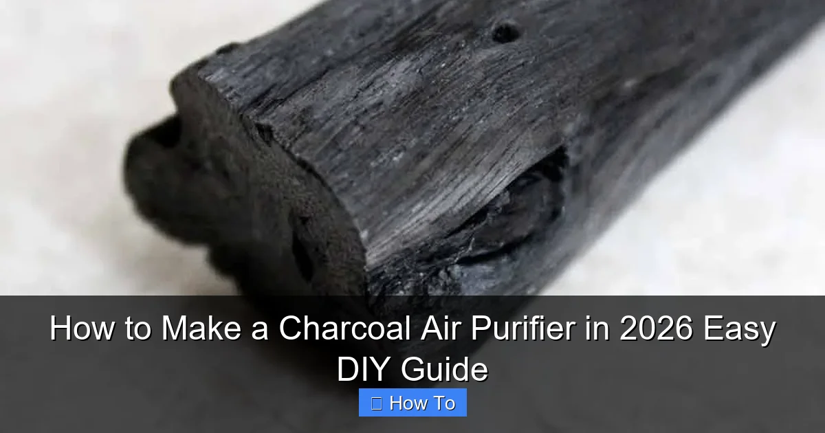 How to Make a Charcoal Air Purifier in 2026 Easy DIY Guide