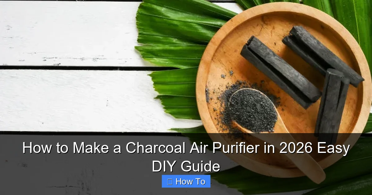 How to Make a Charcoal Air Purifier in 2026 Easy DIY Guide