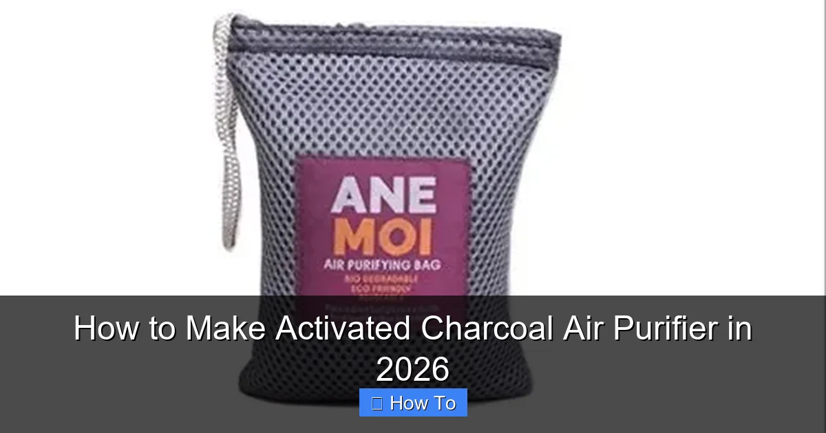 How to Make Activated Charcoal Air Purifier in 2026