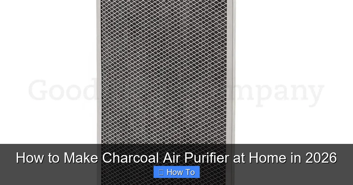 How to Make Charcoal Air Purifier at Home in 2026