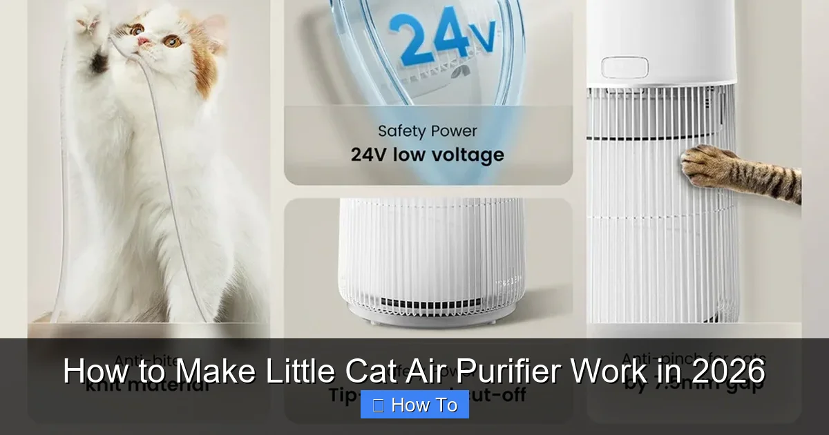 How to Make Little Cat Air Purifier Work in 2026