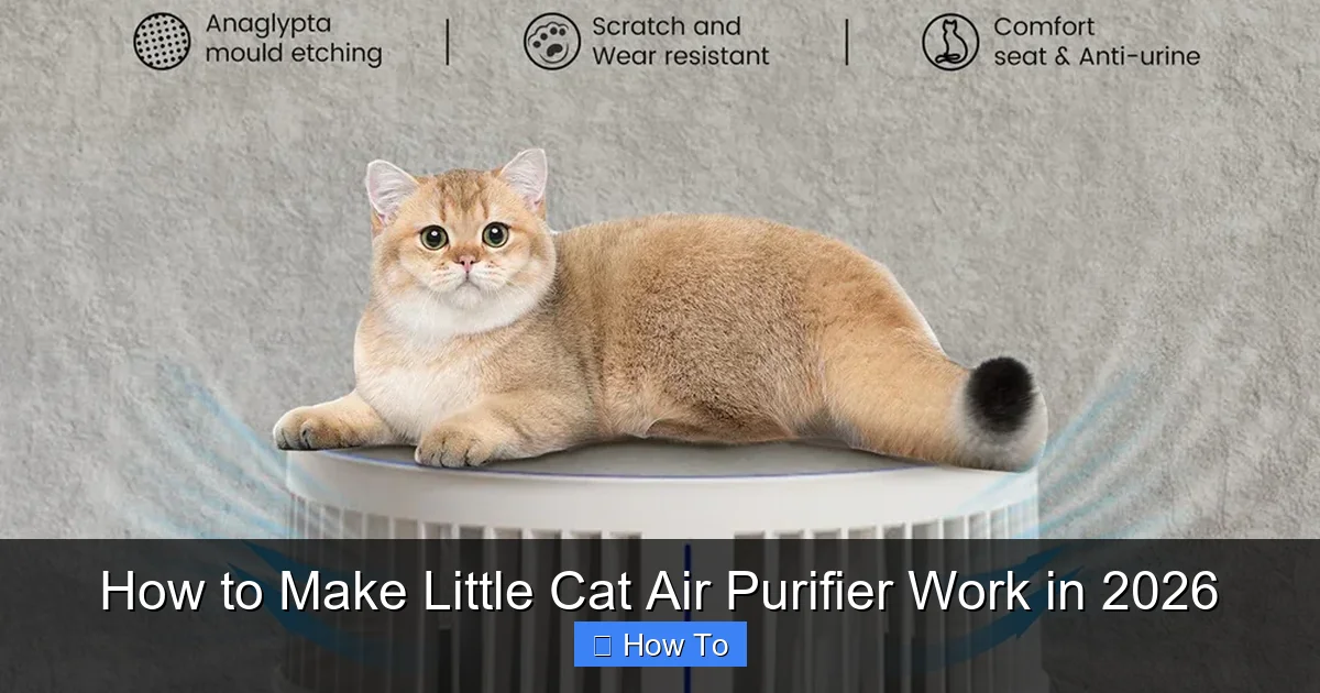 How to Make Little Cat Air Purifier Work in 2026