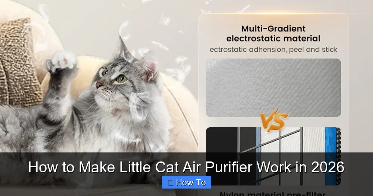 How to Make Little Cat Air Purifier Work in 2026