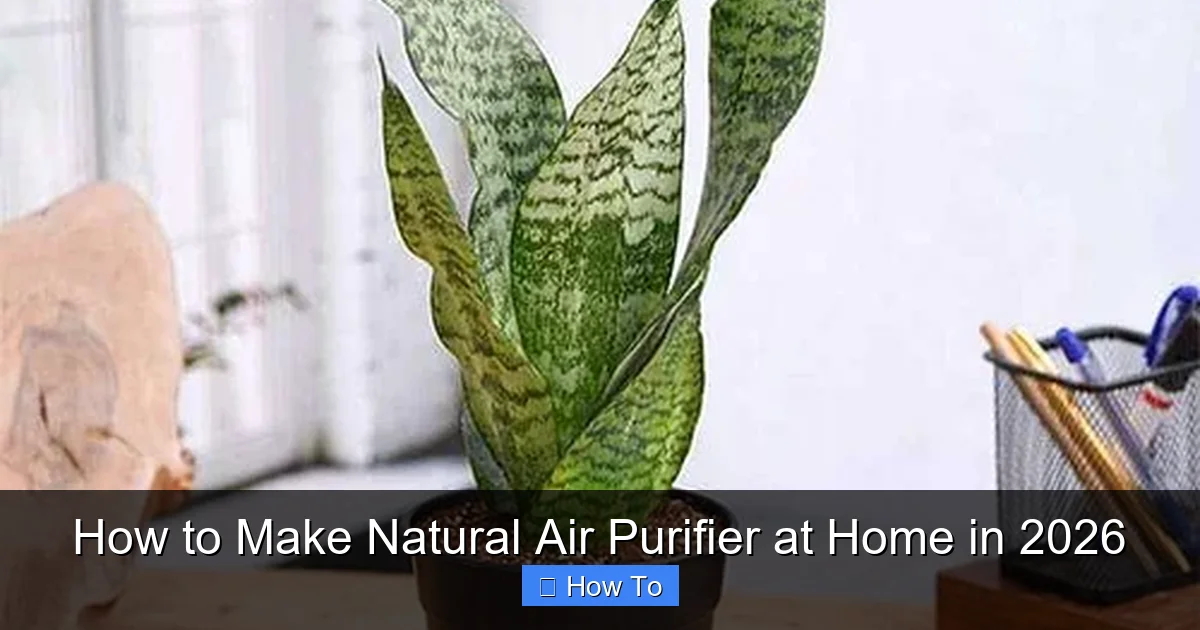 How to Make Natural Air Purifier at Home in 2026