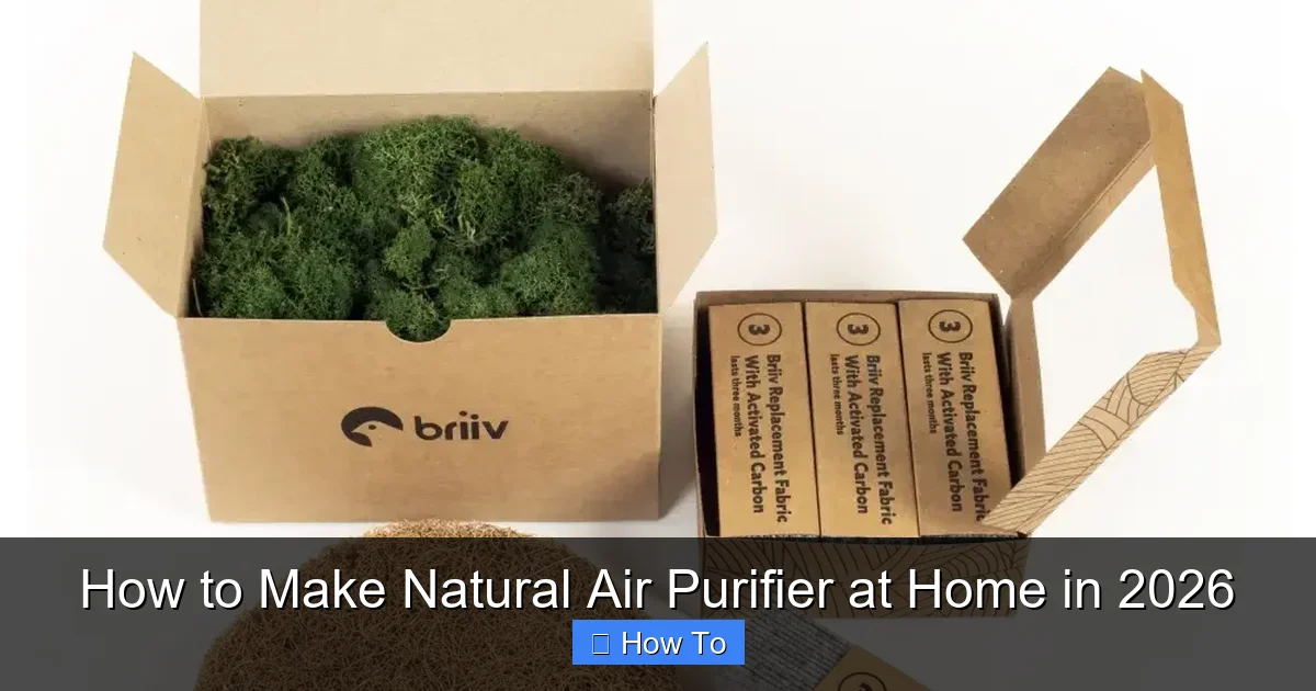 How to Make Natural Air Purifier at Home in 2026