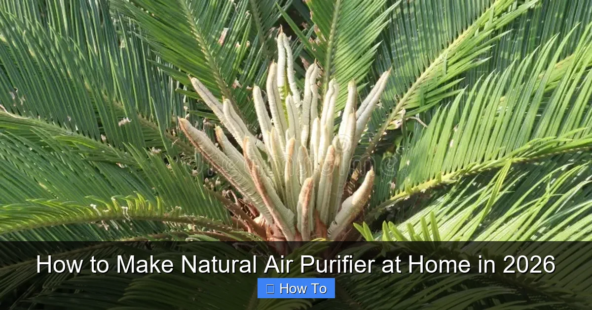 How to Make Natural Air Purifier at Home in 2026