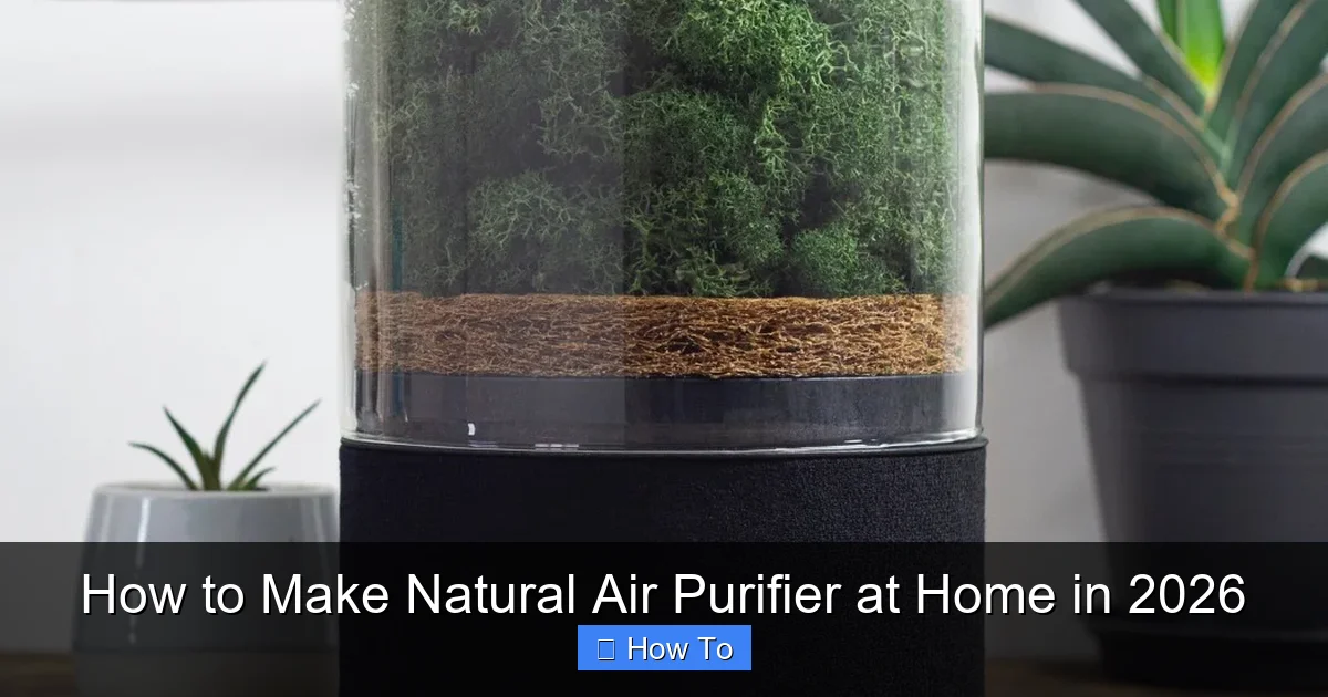 How to Make Natural Air Purifier at Home in 2026