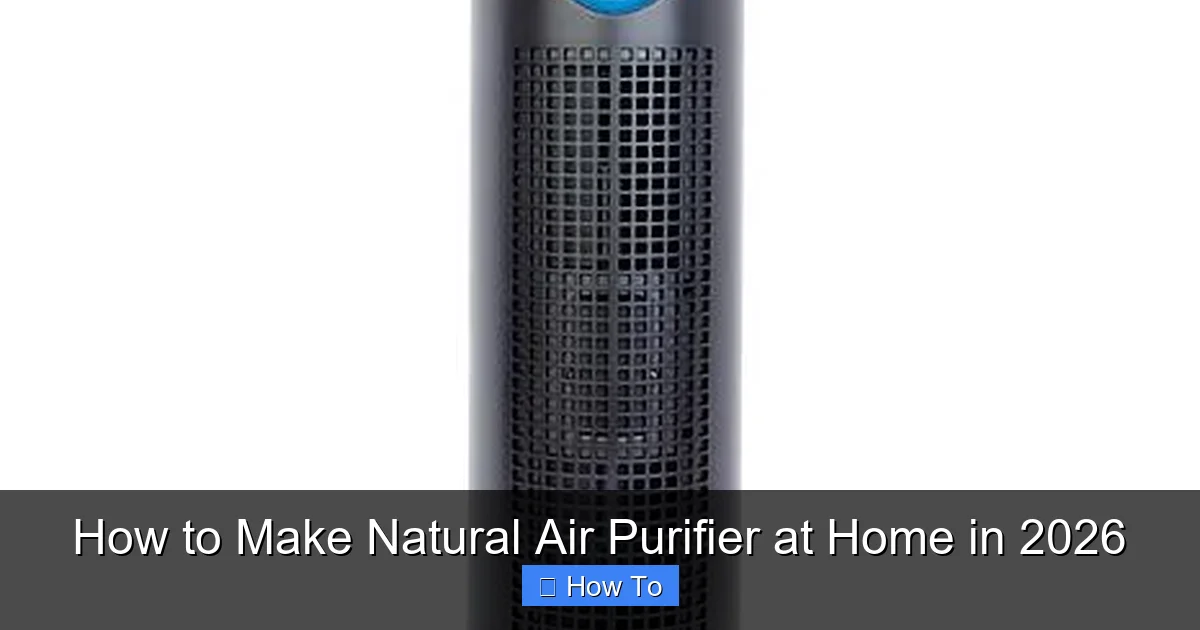 How to Make Natural Air Purifier at Home in 2026