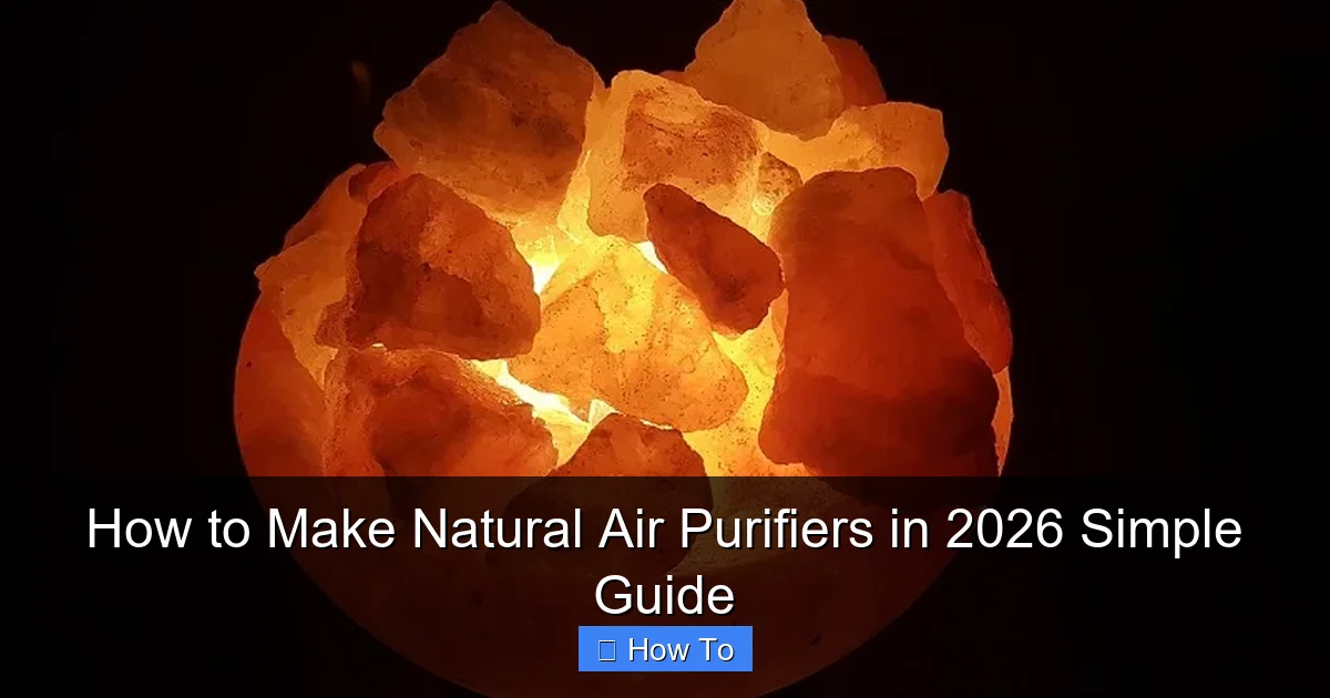 How to Make Natural Air Purifiers in 2026 Simple Guide