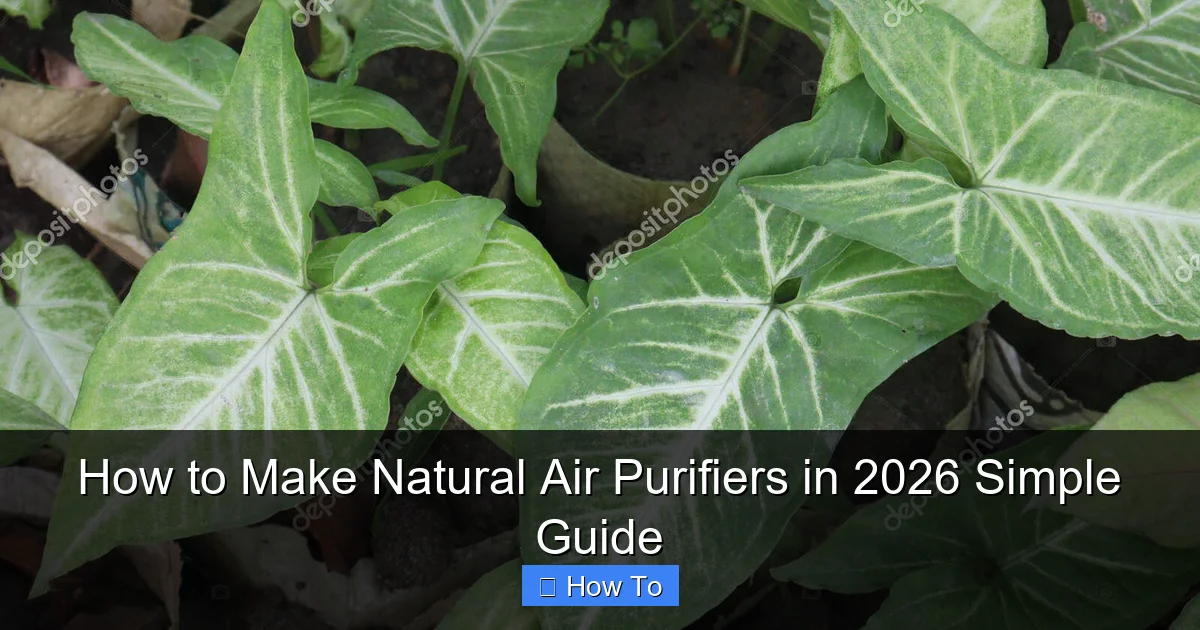 How to Make Natural Air Purifiers in 2026 Simple Guide