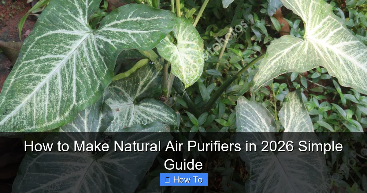 How to Make Natural Air Purifiers in 2026 Simple Guide