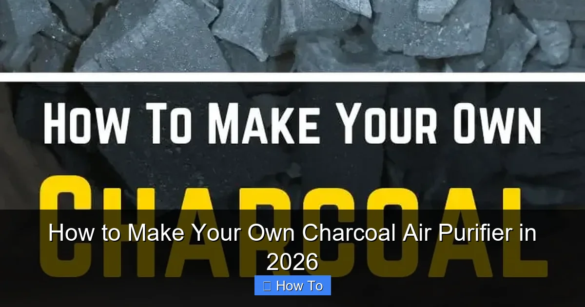 How to Make Your Own Charcoal Air Purifier in 2026