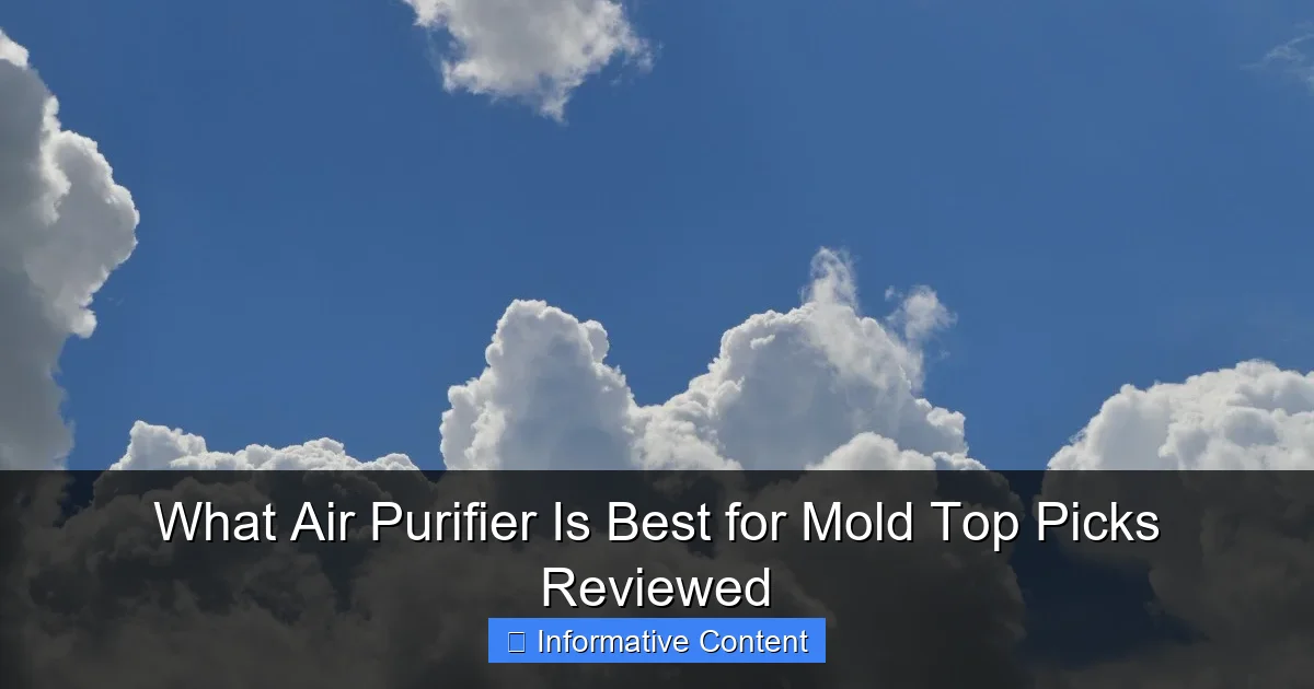 What Air Purifier Is Best for Mold Top Picks Reviewed